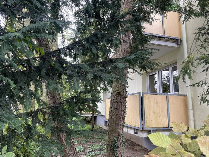 Balkon mit Blick ins Grüne