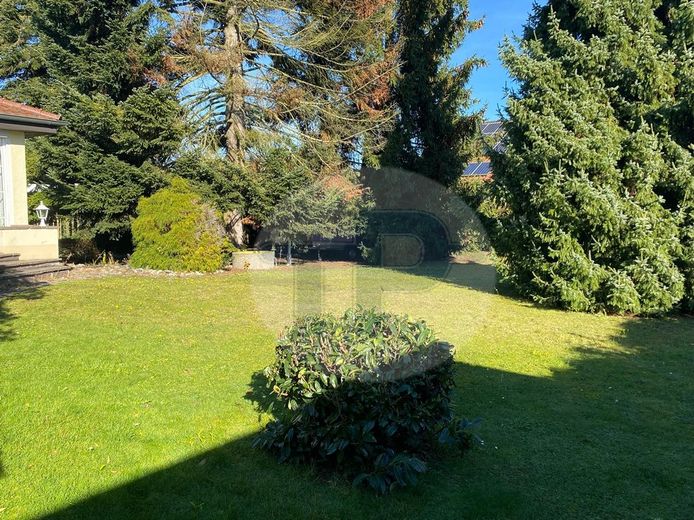 Garten (2)