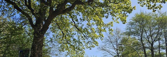 Natur direkt vor der Tür