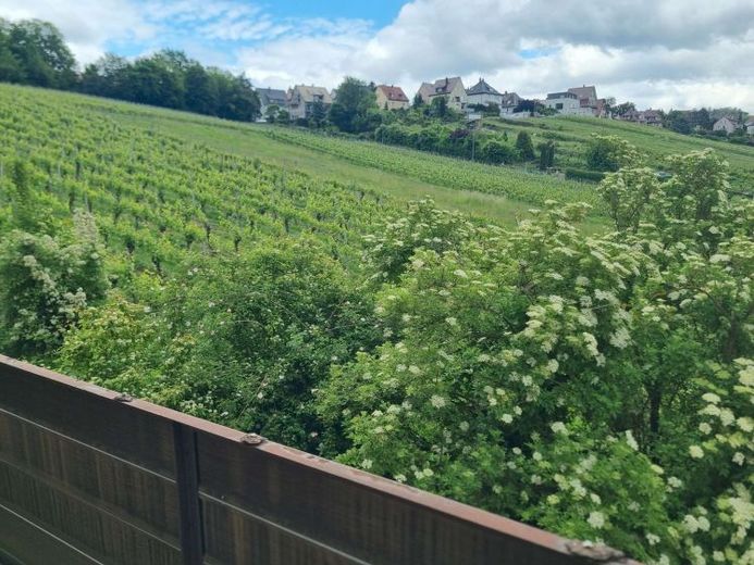 Sanierungsobjekt mit dem entscheidenden Plus: Lage und Aussicht! – Foto 1