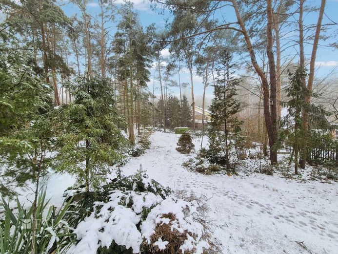 Baugrundstück mit schönem Wochenendbungalow - FALC Immobilien – Garten