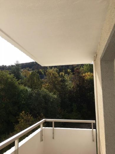 Charmante 3-Zimmer-Wohnungen mit Balkon in Goslar – Musterbild Balkon