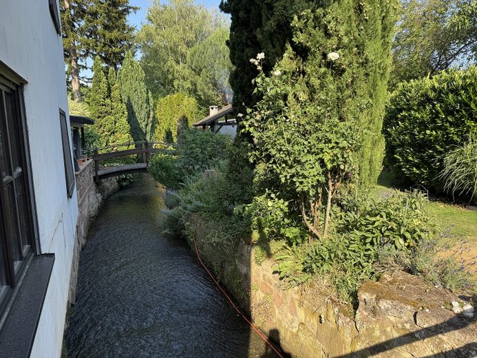 Wohnen am Wasser: Ehemaliges Mühlenanwesen mit Pool, Bachgrundstück und 3 Wohneinheiten – Garten