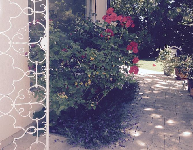 Große Altbau-Villa in Augsburg Göggingen - Exklusives Haus mit Garten – Rosen- und Lavendelbeete