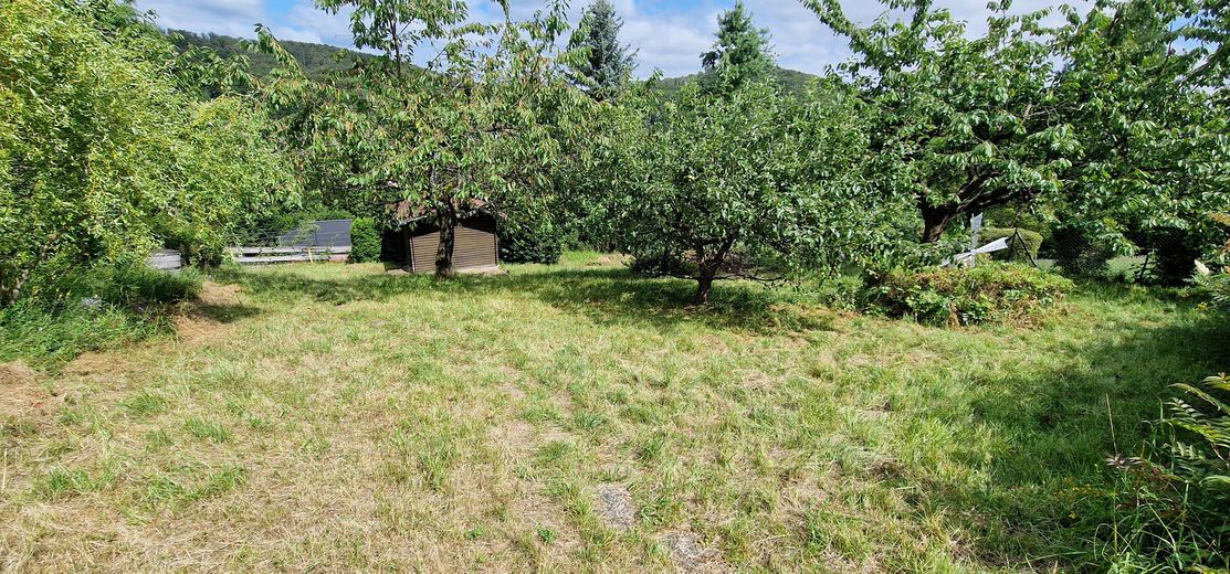 Schönes Freistehendes Haus in Bad Sachsa-Steina – Garten mit Schuppen_Bild 1