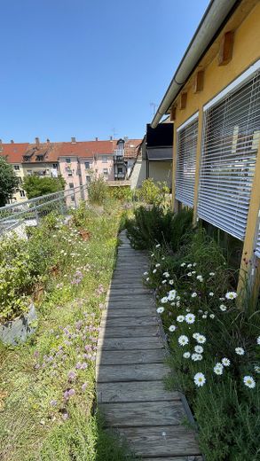 Dachgarten Dachgeschoß