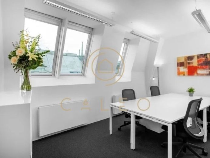 CALEO ¦ Bezirk 1 ¦ Fleischmarkt ¦ flexibel + sofort bezugsfertig ¦ All-in-Miete ¦ PROVISIONSFREI – Foto 1
