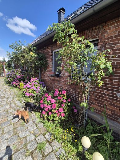 Naturparadies nähe Ludwigslust mit Schwimmteich, Koiteich und Werkstatt für Pendler Hamburg - Berlin – Hinter dem Haus