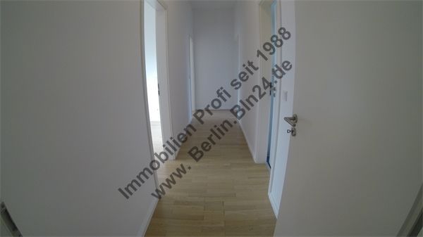 G0035493