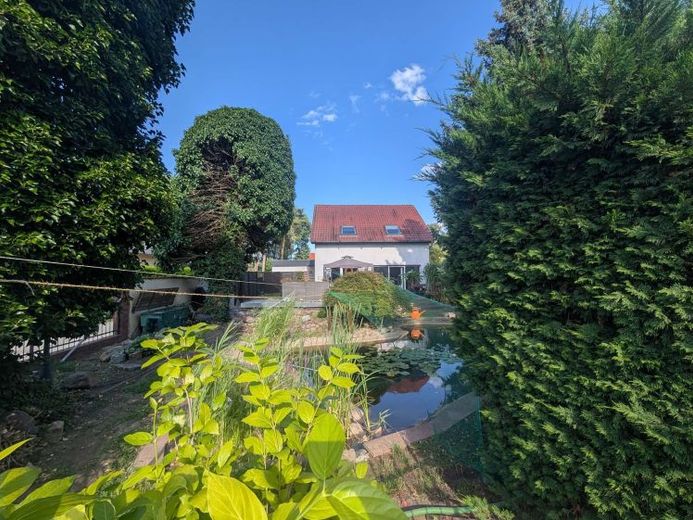 EFH in Cottbus-Kiekebusch: 5 Zimmer in Top-Lage – Foto 1