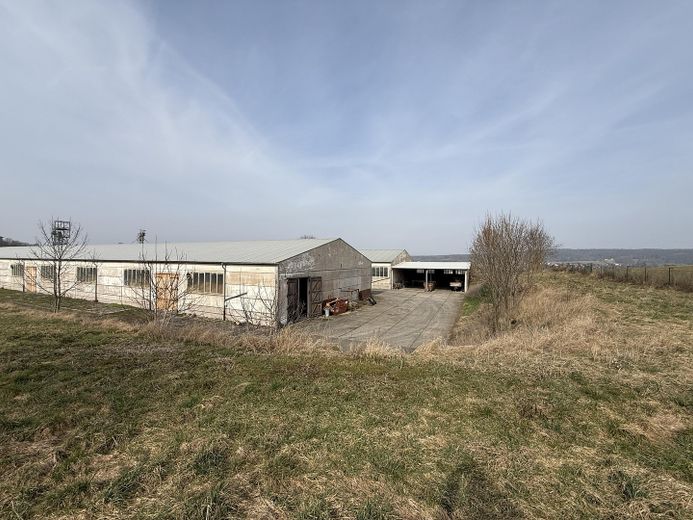 Großzügige Gewerbefläche mit Lagerhallenbestand und Büro in Neustadt a. d. Orla – Blick auf die Lagerhallen