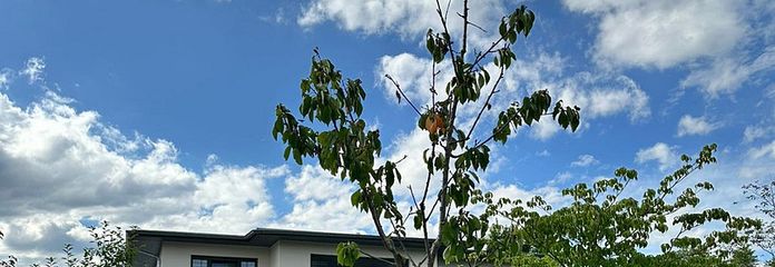 Gartenblick