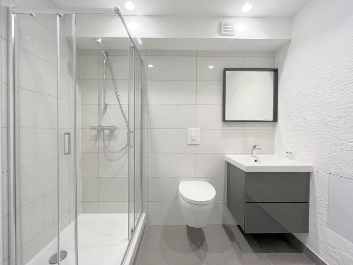 Gäste-WC mit Dusche EG