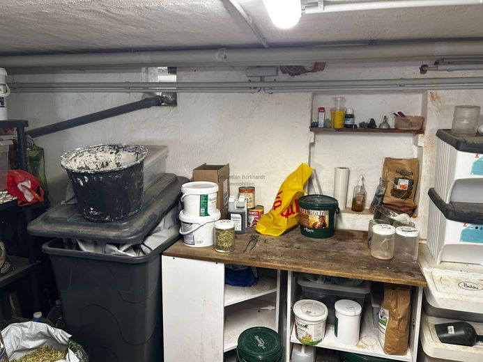 Preissenkung! *** Charmantes Einfamilienhaus mit Ausbaupotenzial in Gräfinau – Keller_4