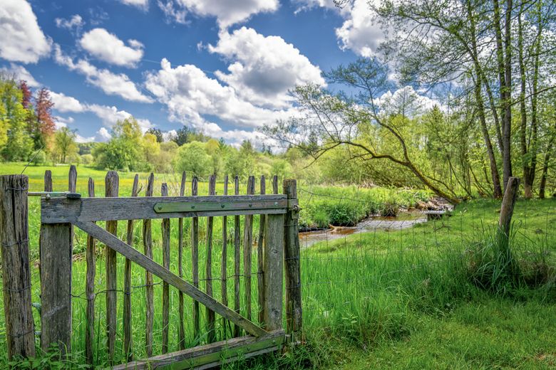 Historische Wassermühle am Lüßbach – einzigartiges Refugium auf 2.678 m² bei Berg – Bachlauf am Grundstück