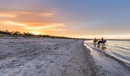 Baugrundstück Insel Rügen ca 200 m zur Ostsee erschlossen – endlos weite Badestände