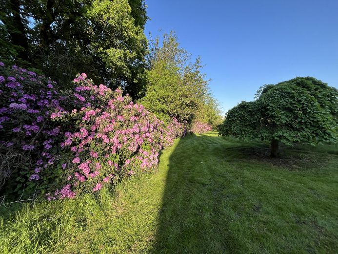Maison de rêve dans un emplacement de choix ! Au calme, en pleine nature, étang de baignade – Photo 23