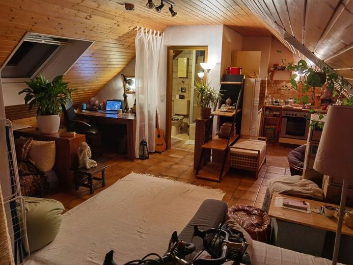 Frisch renovierte 1-Zimmer-Wohnung mit Balkon und Einbauküche – Foto 5