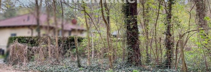 Großzügiges Baugrundstück in Seenähe – Ihr Zuhause in Königs Wusterhausen