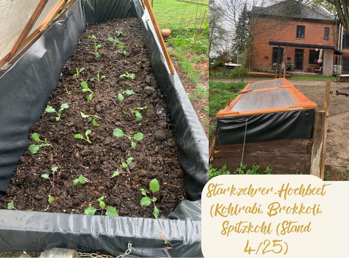 5qm Hochbeet am Gemüsegarten