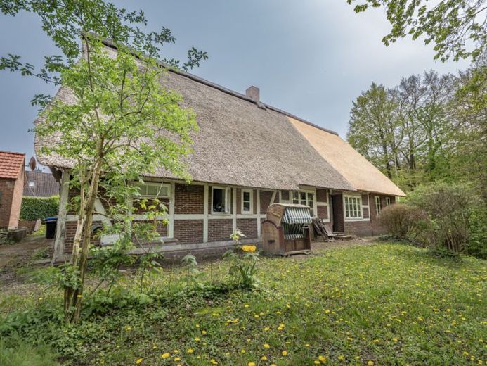 Historisches Reetdachhaus im Dollener Ortskern sucht einen neuen Eigentümer! – Foto 1