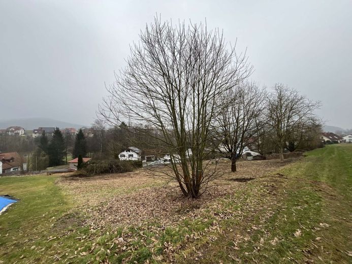 Ansicht von Feld rechts