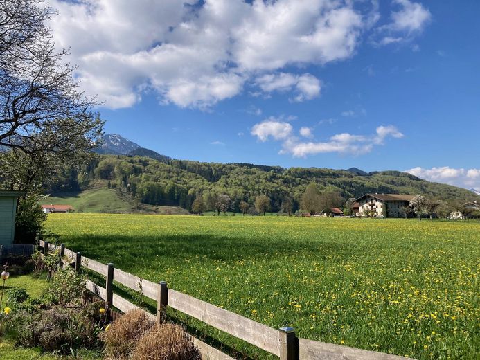 Bergblick