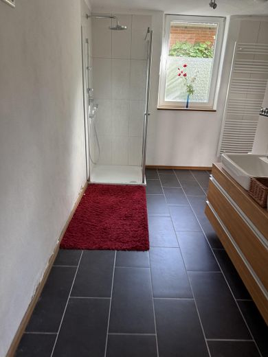 Sanierte 3-Zimmerwohnung mit Altbaucharme – Badezimmer Dusche