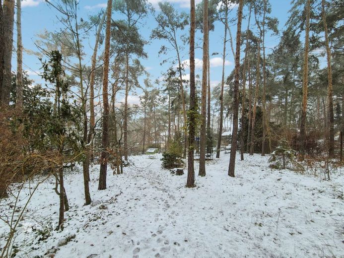 Baugrundstück mit schönem Wochenendbungalow - FALC Immobilien – Garten