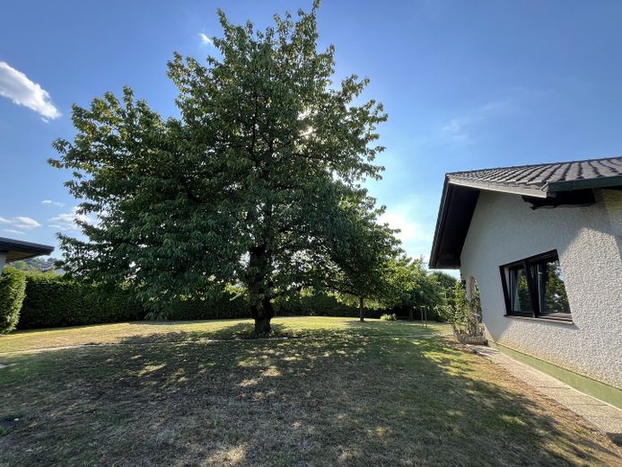 Großzügiger Bungalow auf 1.850 m² Grundstück mit Dreifachgarage – provisionsfrei in Markt Eichendorf – फोटो 28