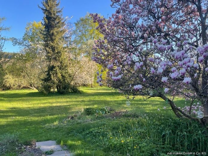 Rarität im Fichtelgebirge: Kernsanierter Bauhaus-Bungalow mit 163m² auf 7.500 m² Parkgrundstück – 11_Parkgarten-Magnolie