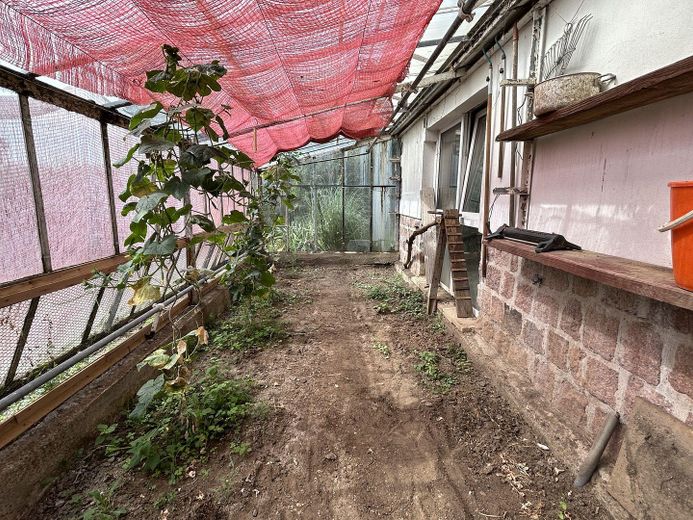 Abitare nel verde ai margini della città patrimonio dell’umanità – Gewächshaus