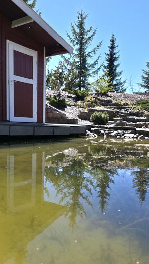 Hochwertiges Architektenhaus mit Wintergarten, Teich und 1.541 m² Grundstück in Albstadt-Tailfingen – Teich mit Gartenhaus