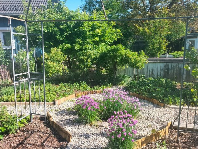 Gemüsegarten