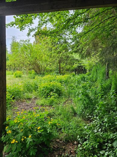Einzigartig und traumhaft: ca. 600 qm Freizeitgrundstück in Karlsfeld, kein Bauland !!! – Foto 11