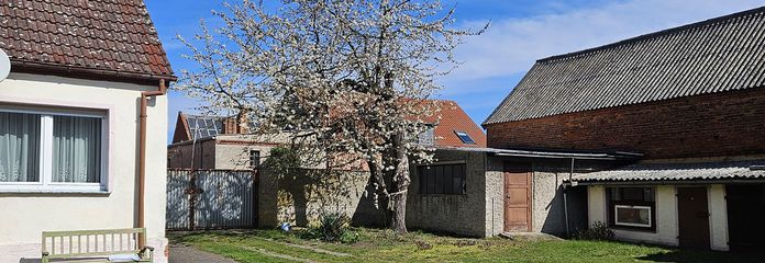 Straße mit Blütenbaum