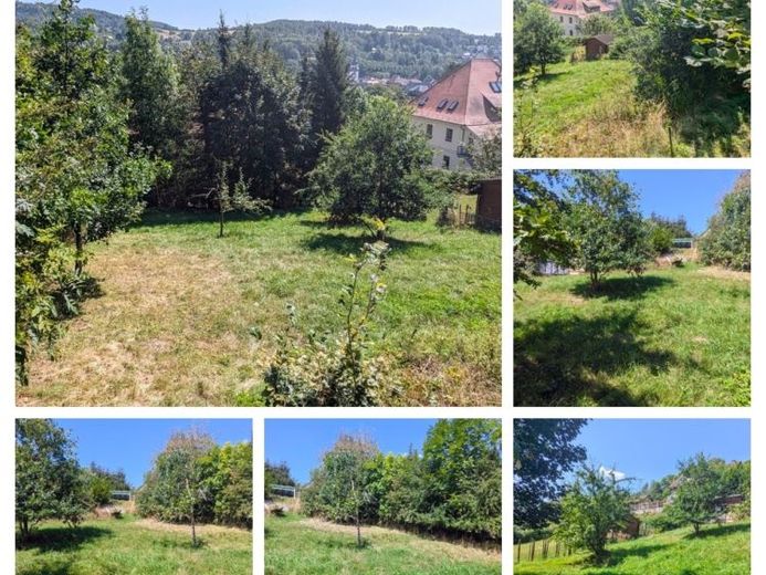 Baugrundstück in ruhiger Lage von Steinbach-Hallenberg & top Aussicht – फोटो 1
