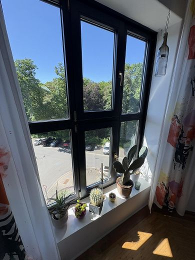 Außergewöhnliche DG-/Maisonettewohnung im Zooviertel – Großzügiges Wohnen, Blick in die Eilenriede – Blick in Eilenriede