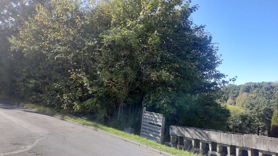 Stadthaus zum Wohlfühlen mit Keller in Waldbröl - Energiesparhaus EH 55 GEG – Baugrundstück