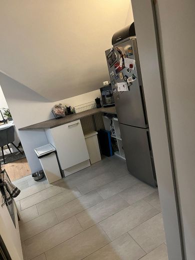 Appartement de 4 pièces avec cuisine équipée et jardin à louer ! Animaux domestiques autorisés ! – Photo 2