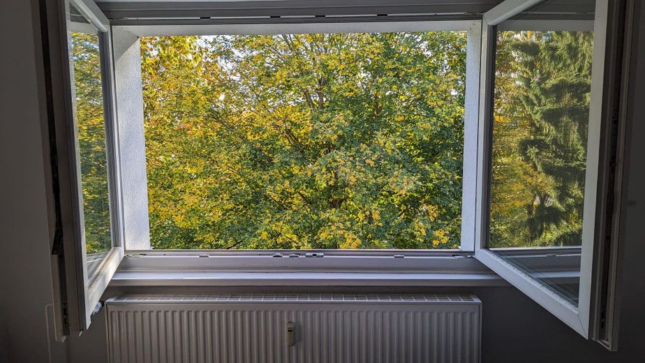 Blick aus dem Fenster -Sommer 