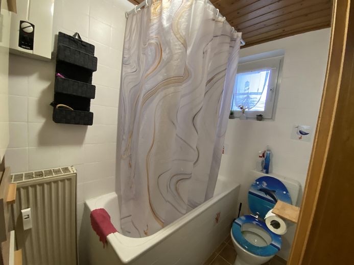 Wohnung EG Bad