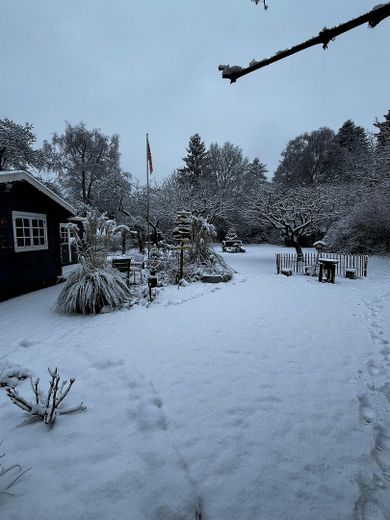 Stilvolles Einfamilienhaus mit 1.800 m2 Südgrundstück und hochwertiger Ausstattung – Garten Winter