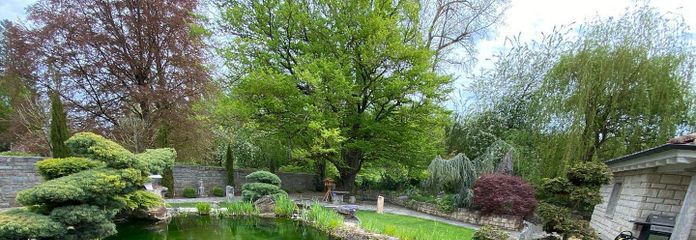 Traumgarten mit Schwimmteich