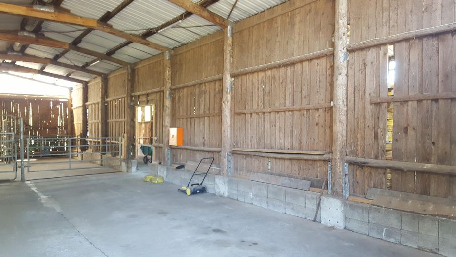 Ideal für Pferdehaltung - Einfamilienhaus, Baugrundstück, Stall und Hausweide / Resthof – Stall
