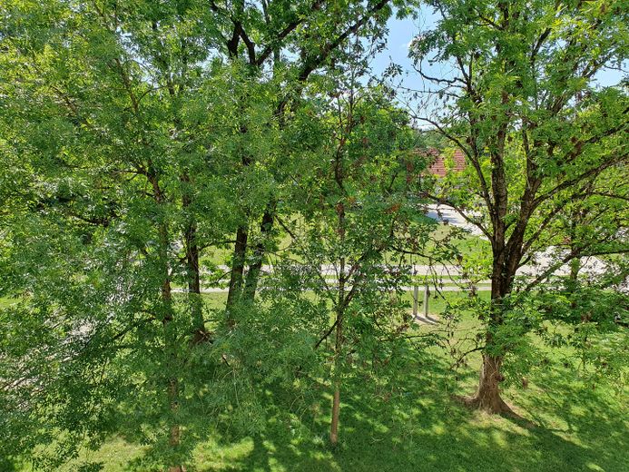 Blick von der Loggia 