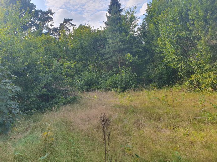 Wohnen wo Hamburg am schönsten ist Einfamilienhaus Doppelhaus Grundstück in Duvenstedt / Walddörfer – Garten