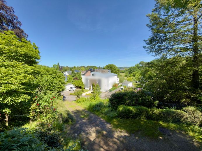 Absolute Rarität: Bungalow in Schildgen mit 6.612 m² Grundstück in direkter Waldrandlage – Ausblick aus dem Wohn-Esszimmer