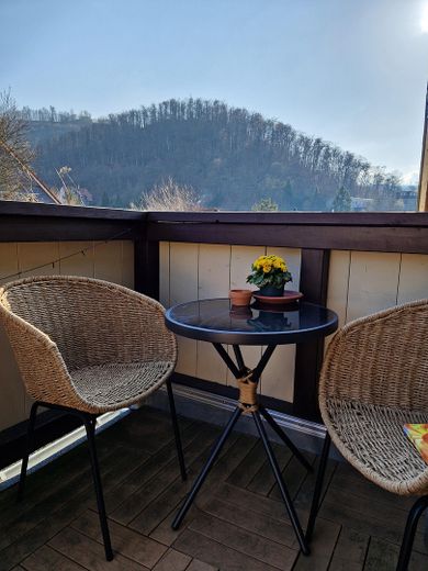 Über den Dächern Bad Harzburgs – Balkonausschnitt