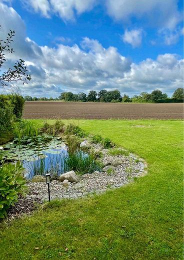 Ein Zuhause mit Charakter – Das Feld im Spätsommer